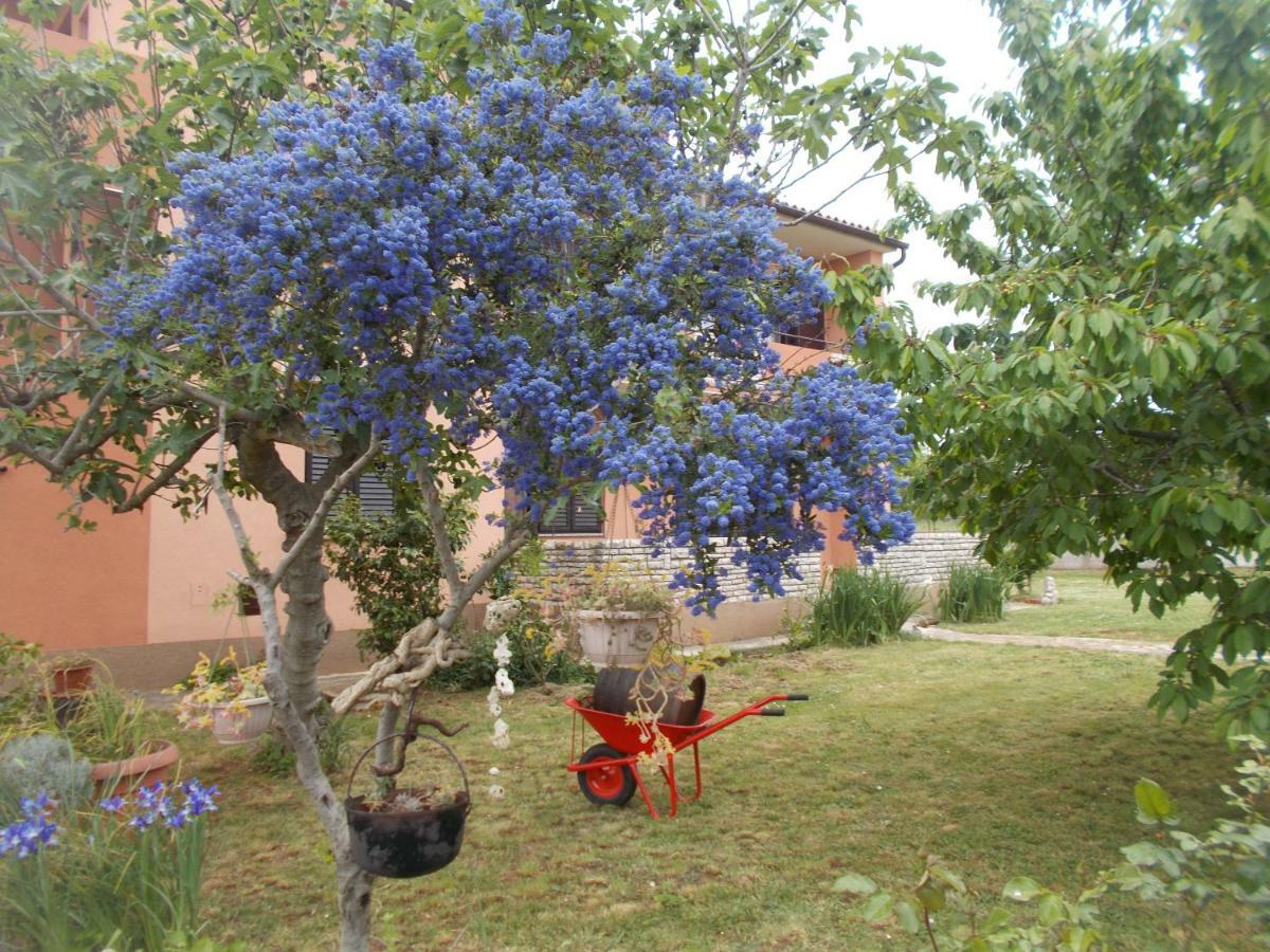 Apartamento Ella Pula Exterior foto